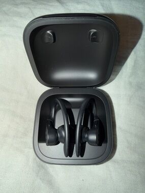 Beats by Dre Powerbeats Pro True Wireless Earbuds - Black